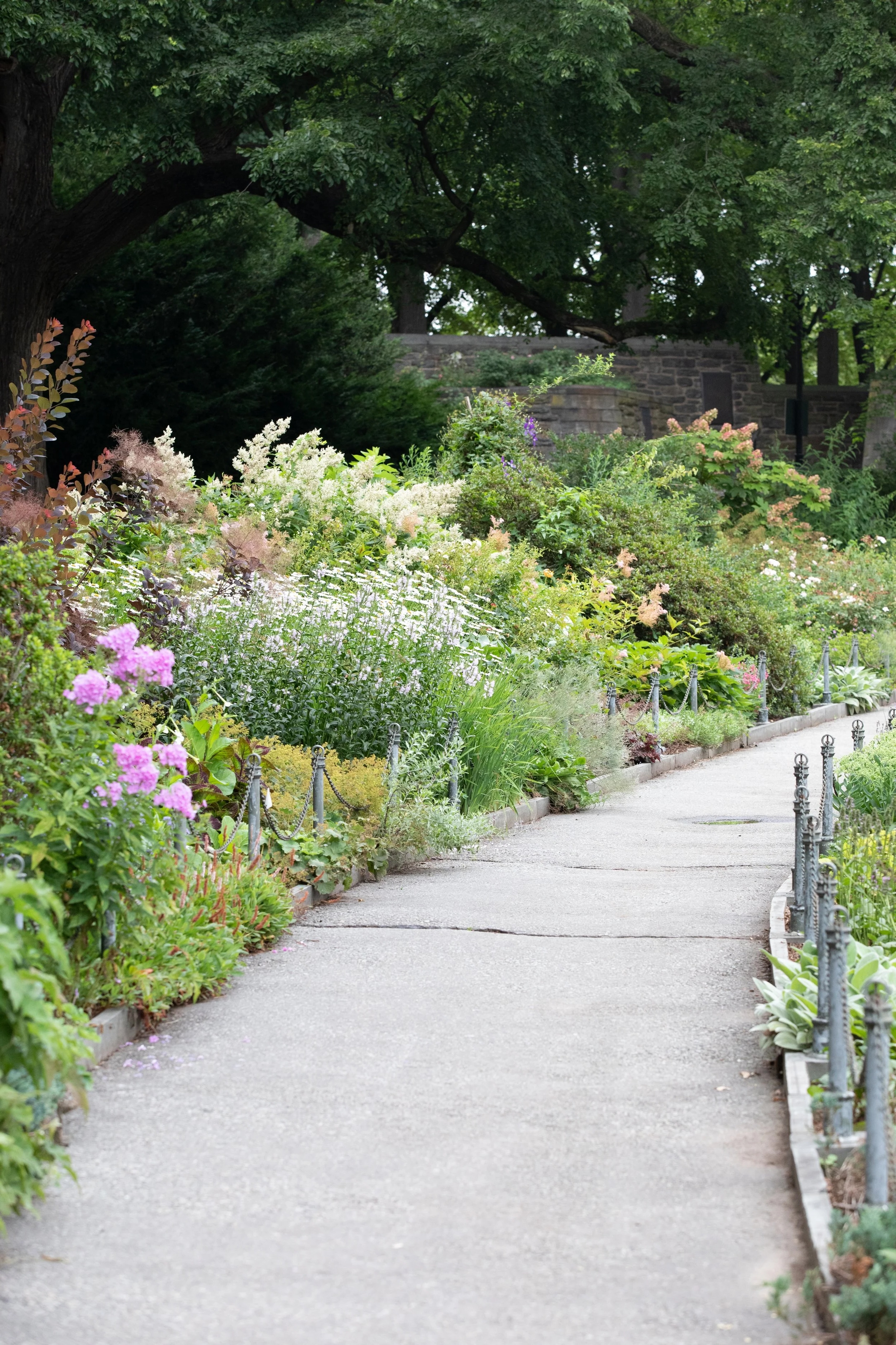 1-on-1 guided personal support session