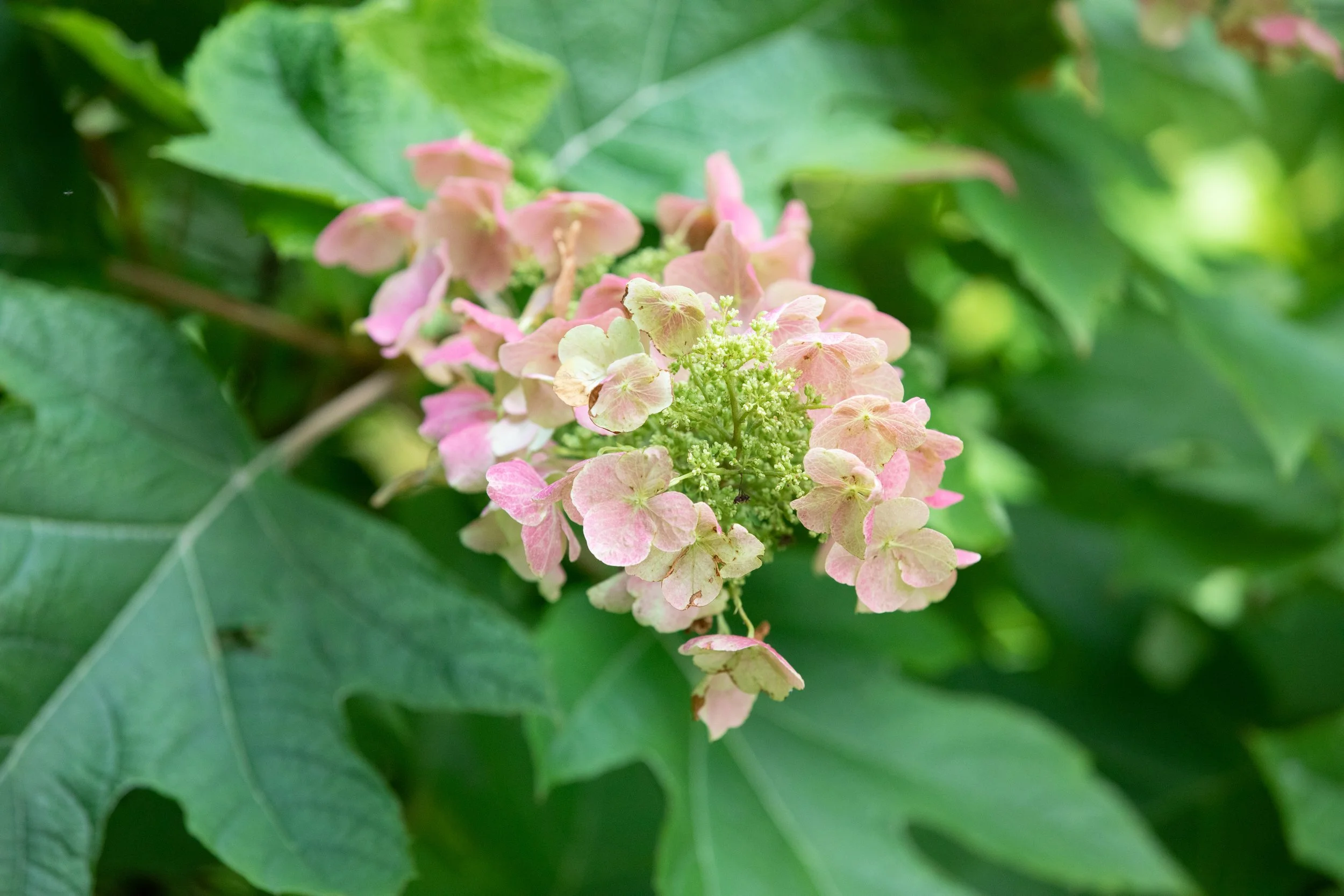 7 Real AF Ways to Practice Love