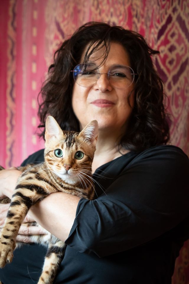 A peaceful, calm cat in a serene setting