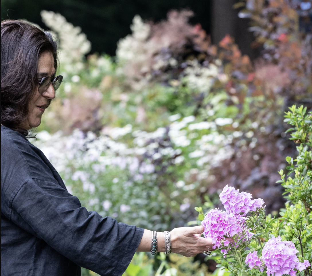 Transformation begins - peaceful and transformative imagery