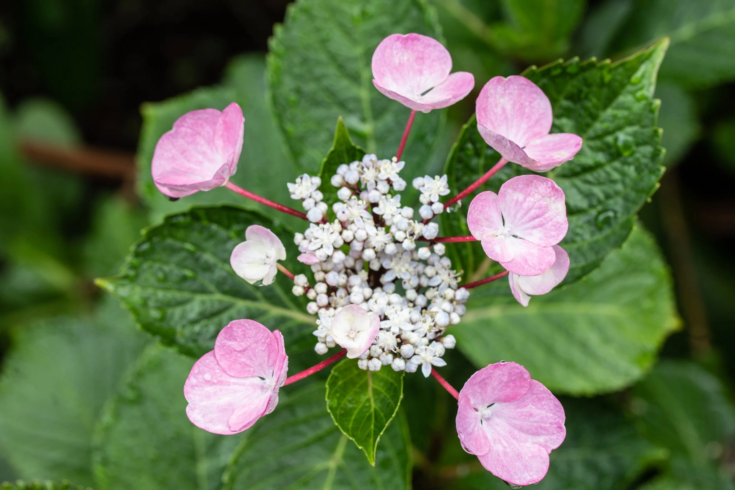 Love the One You're With (and remember: that's you)