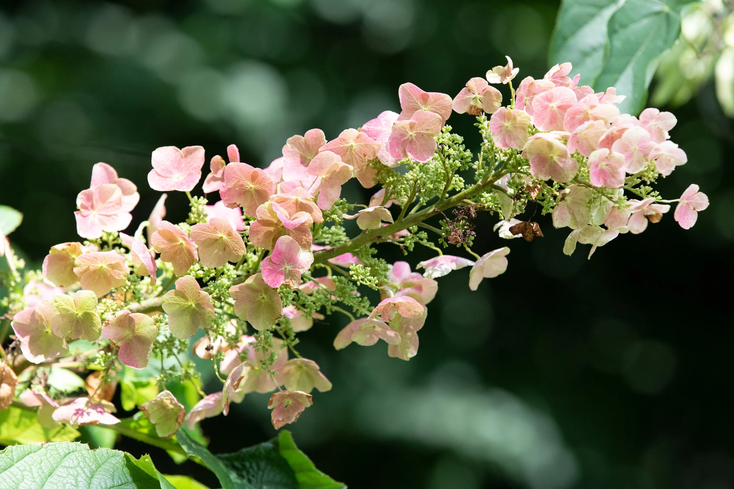 Work together header - beautiful header image for Ways We Can Work Together